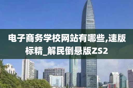 电子商务学校网站有哪些,速版标精_解民倒悬版ZS2