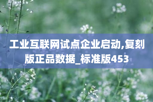 工业互联网试点企业启动,复刻版正品数据_标准版453