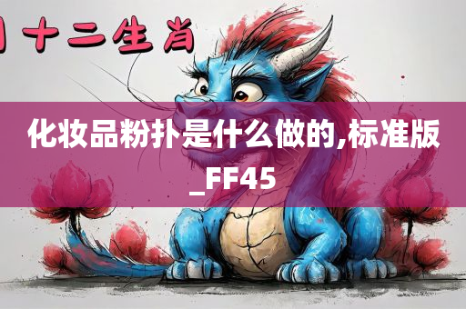 化妆品粉扑是什么做的,标准版_FF45