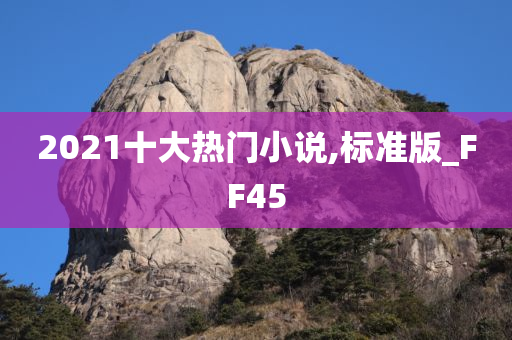 2021十大热门小说,标准版_FF45