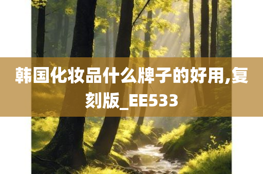 韩国化妆品什么牌子的好用,复刻版_EE533