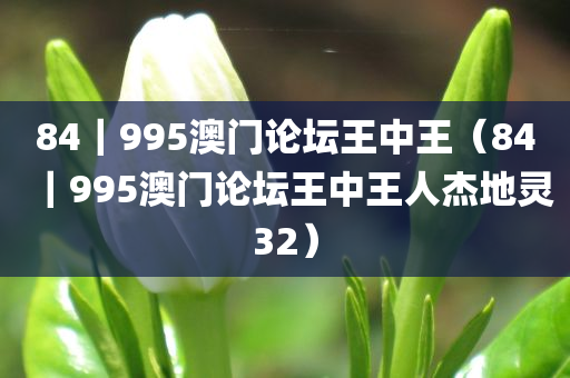 84｜995澳门论坛王中王（84｜995澳门论坛王中王人杰地灵32）