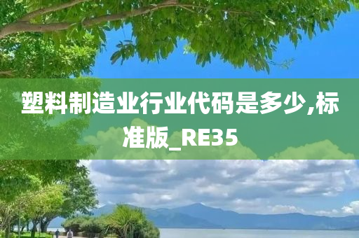 塑料制造业行业代码是多少,标准版_RE35