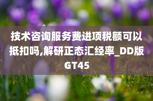 技术咨询服务费进项税额可以抵扣吗,解研正态汇经率_DD版GT45