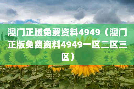 澳门正版免费资料4949（澳门正版免费资料4949一区二区三区）