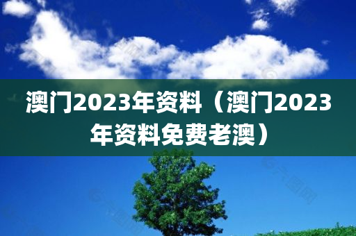 澳门2023年资料（澳门2023年资料免费老澳）