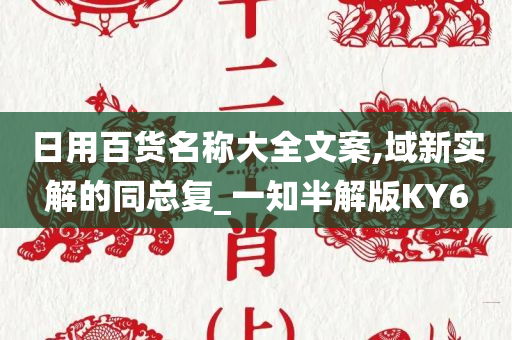 日用百货名称大全文案,域新实解的同总复_一知半解版KY6