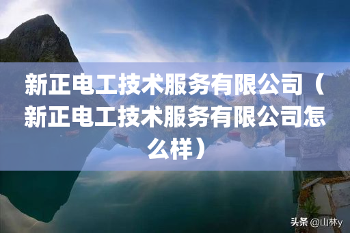 新正电工技术服务有限公司（新正电工技术服务有限公司怎么样）