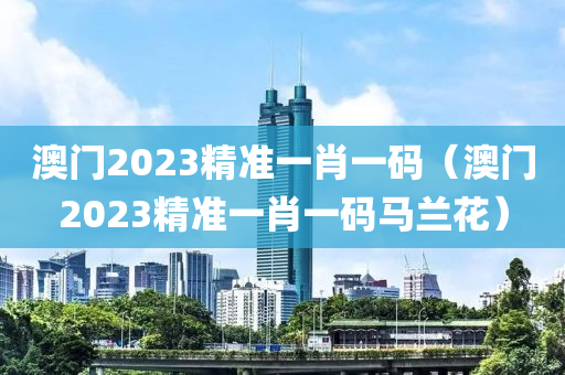 澳门2023精准一肖一码（澳门2023精准一肖一码马兰花）