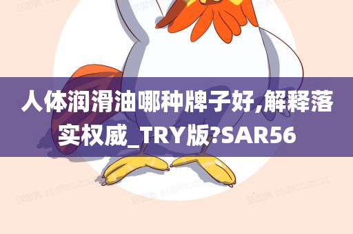 人体润滑油哪种牌子好,解释落实权威_TRY版?SAR56