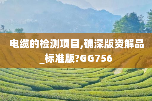 电缆的检测项目,确深版资解品_标准版?GG756