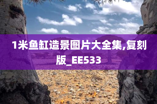 1米鱼缸造景图片大全集,复刻版_EE533