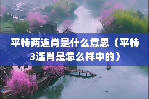 平特两连肖是什么意思（平特3连肖是怎么样中的）