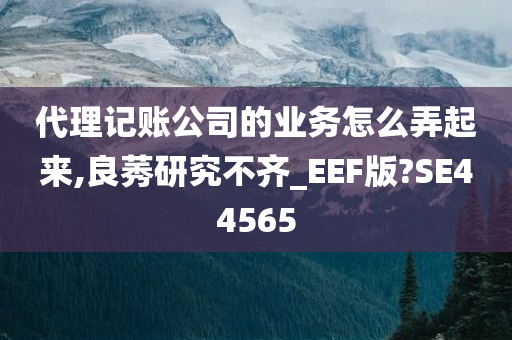 代理记账公司的业务怎么弄起来,良莠研究不齐_EEF版?SE44565