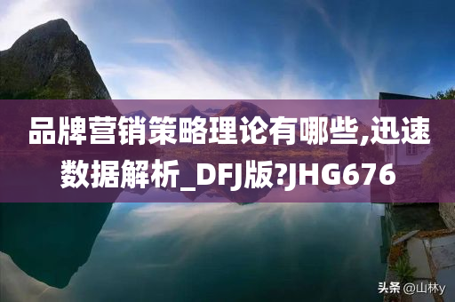 品牌营销策略理论有哪些,迅速数据解析_DFJ版?JHG676