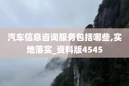 汽车信息咨询服务包括哪些,实地落实_资料版4545