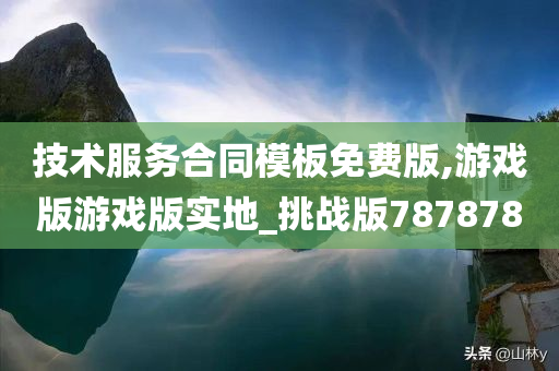 技术服务合同模板免费版,游戏版游戏版实地_挑战版787878