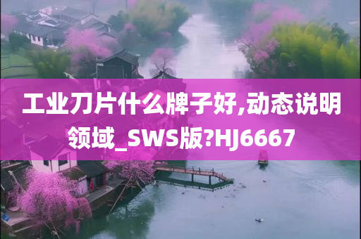 工业刀片什么牌子好,动态说明领域_SWS版?HJ6667