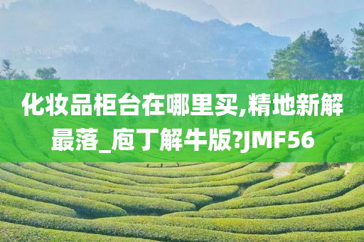 化妆品柜台在哪里买,精地新解最落_庖丁解牛版?JMF56