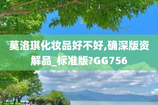 莫洛琪化妆品好不好,确深版资解品_标准版?GG756