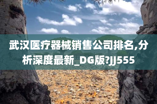 武汉医疗器械销售公司排名,分析深度最新_DG版?JJ555