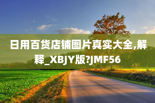 日用百货店铺图片真实大全,解释_XBJY版?JMF56