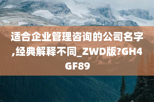 适合企业管理咨询的公司名字,经典解释不同_ZWD版?GH4GF89