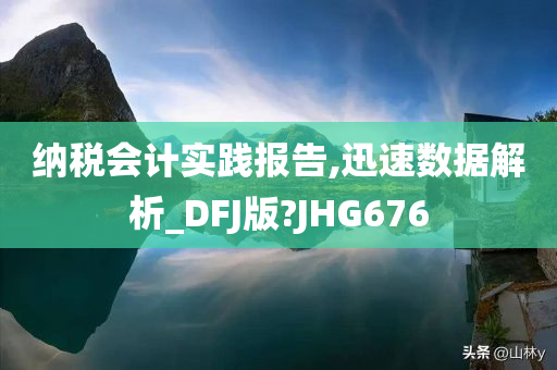 纳税会计实践报告,迅速数据解析_DFJ版?JHG676