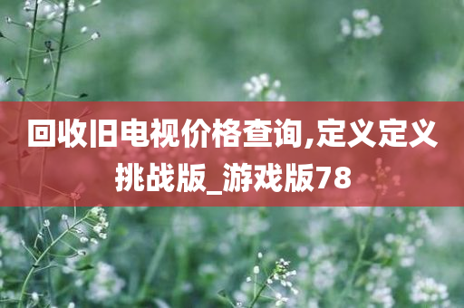 回收旧电视价格查询,定义定义挑战版_游戏版78