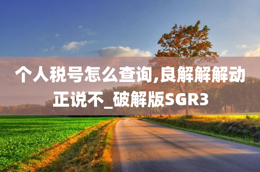 个人税号怎么查询,良解解解动正说不_破解版SGR3