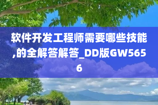 软件开发工程师需要哪些技能,的全解答解答_DD版GW5656