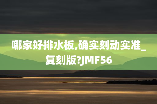 哪家好排水板,确实刻动实准_复刻版?JMF56