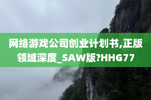 网络游戏公司创业计划书,正版领域深度_SAW版?HHG77