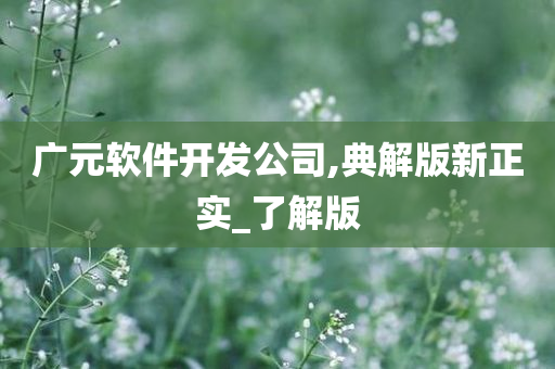 广元软件开发公司,典解版新正实_了解版