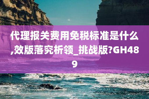 代理报关费用免税标准是什么,效版落究析领_挑战版?GH489