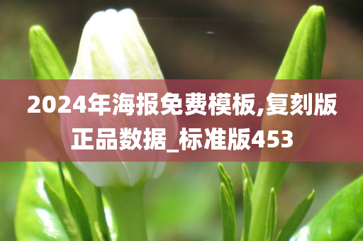 2024年海报免费模板,复刻版正品数据_标准版453