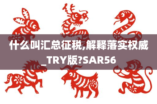 什么叫汇总征税,解释落实权威_TRY版?SAR56