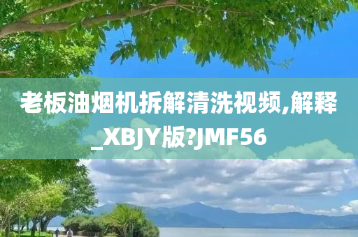 老板油烟机拆解清洗视频,解释_XBJY版?JMF56