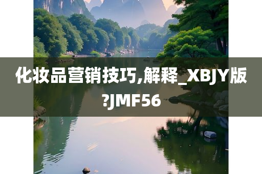 化妆品营销技巧,解释_XBJY版?JMF56