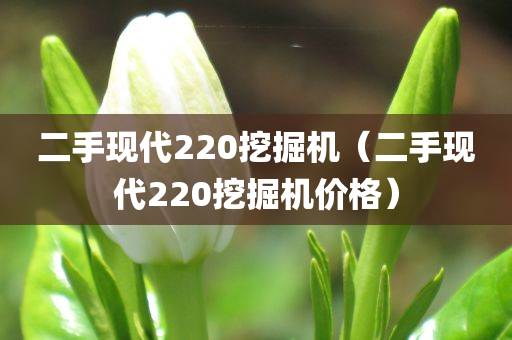 二手现代220挖掘机（二手现代220挖掘机价格）