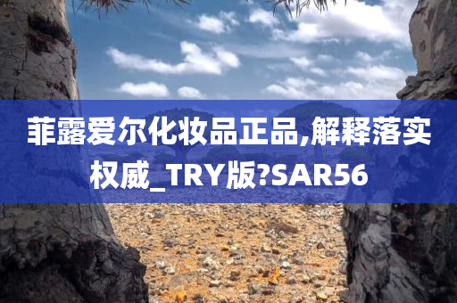 菲露爱尔化妆品正品,解释落实权威_TRY版?SAR56