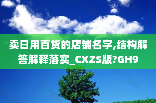 卖日用百货的店铺名字,结构解答解释落实_CXZS版?GH9