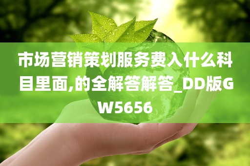 市场营销策划服务费入什么科目里面,的全解答解答_DD版GW5656