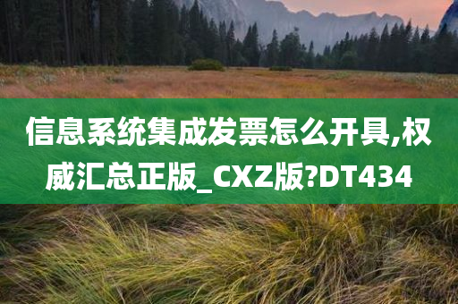 信息系统集成发票怎么开具,权威汇总正版_CXZ版?DT434