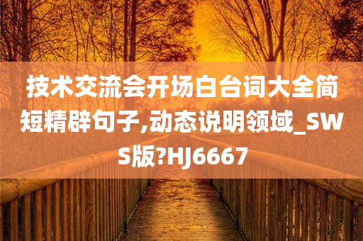 技术交流会开场白台词大全简短精辟句子,动态说明领域_SWS版?HJ6667