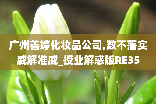 广州善婷化妆品公司,数不落实威解准威_授业解惑版RE35