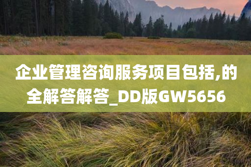 企业管理咨询服务项目包括,的全解答解答_DD版GW5656