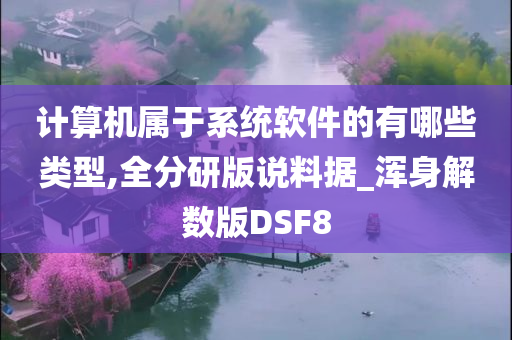 计算机属于系统软件的有哪些类型,全分研版说料据_浑身解数版DSF8