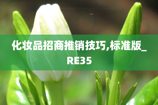 化妆品招商推销技巧,标准版_RE35