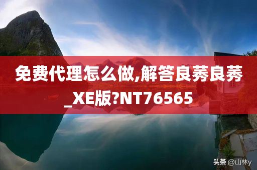 免费代理怎么做,解答良莠良莠_XE版?NT76565